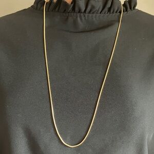 J. Crew Gold Thin Snake Chain Necklace